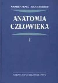 Anatomia człowieka 1 /Anatomia ogólna, kości, stawy i wiązadła, mięśnie Tom 1 - Adam Bochenek, Michał Reicher
