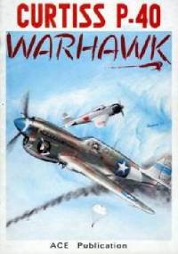 Curtiss P-40 Warhawk - Przemysław Skulski