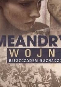 Meandry wojny Bieszczadem naznaczone - Krzysztof Jan Drozdowski