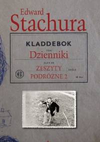 Dzienniki. Zeszyty podróżne 2 - Edward Stachura