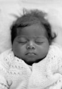 Fazal Sheikh: The Circle - praca zbiorowa, Fazal Sheikh