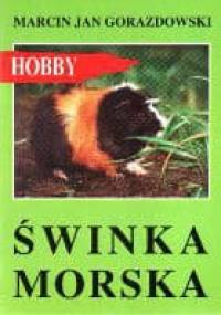 Świnka morska - Marcin Jan Gorazdowski