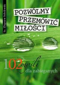 Pozwólmy przemówić miłości - 102 myśli dla zabieganych - Zbigniew Sobolewski