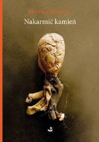 Nakarmić kamień - Bronka Nowicka