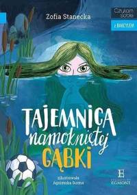 Tajemnica namokniętej gąbki - Zofia Stanecka, Agnieszka Surma