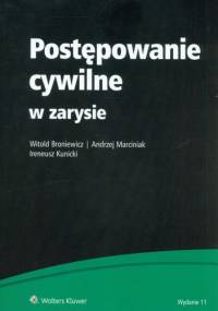 Postępowanie cywilne w zarysie