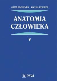 Anatomia człowieka Tom 5 Wydanie 6 - Adam Bochenek, Michał Reicher