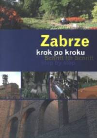 Zabrze krok po kroku - Dariusz Walerjański