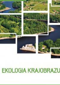 Ekologia krajobrazu - Andrzej Zdzisław Richling, Jerzy Solon