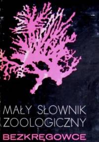 Mały słownik zoologiczny. Bezkręgowce - praca zbiorowa