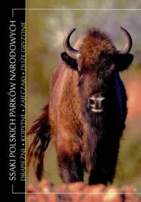 Ssaki polskich parków narodowych : drapieżne, kopytne, zajęczaki, duże gryzonie - Grzegorz Jamrozy