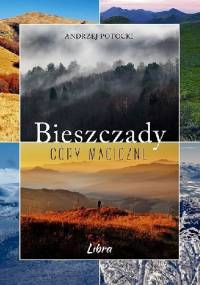 Bieszczady. Góry magiczne - Andrzej Potocki