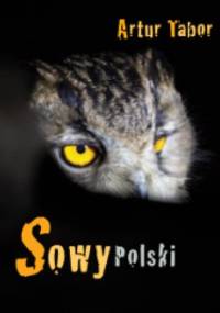 Sowy Polski - Artur Tabor