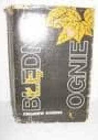 Błędne Ognie - Zbigniew Domino