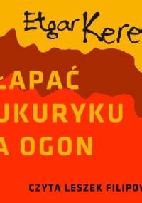 Złapać kukuryku za ogon - Etgar Keret