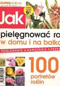 Jak pielęgnować rośliny w domu i na balkonie