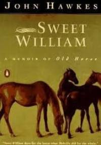 Słodki Goździk - John Hawkes