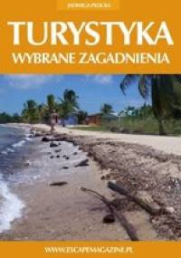 Turystyka. Wybrane zagadnienia - Jadwiga Płocka