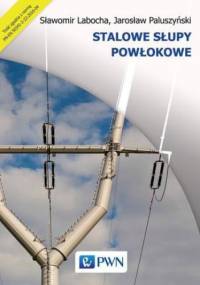 Stalowe słupy powłokowe - Sławomir Labocha, Jarosław Paluszyński