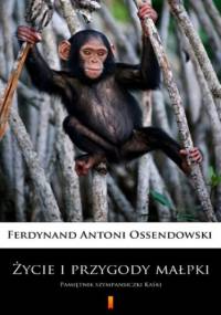 Życie i przygody małpki. Pamiętnik szympansiczki Kaśki - Antoni Ossendowski Ferdynand