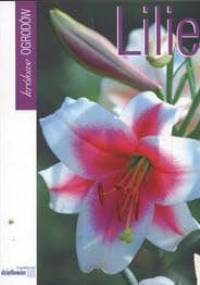 Lilie - Kazimierz Mynett, Joanna Krause