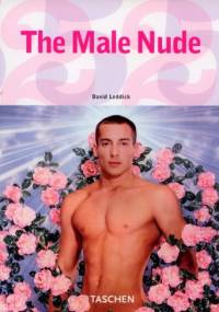 The Male Nude - David Leddick
