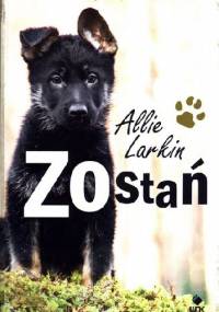 Zostań - Allie Larkin