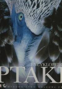 Ptaki. Encyklopedia - praca zbiorowa
