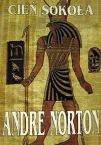 Cień sokoła - Andre Norton