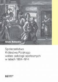 Społeczeństwo Królestwa Polskiego wobec patologii społecznych w latach 1864–1914 - Aneta Bołdyrew