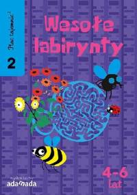 Plac Tajemnic 2. Wesołe labirynty 2. 4-6 lat - Aleksandra Golecka-Mazur