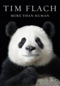 More than Human - Tim Flach, Lewis Blackwell