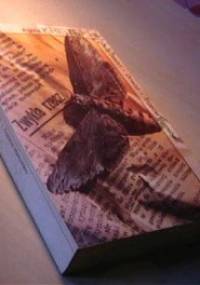 Duży zeszyt. Dowód. Trzecie kłamstwo - Agota Kristof