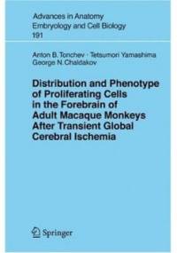 Distribution and Phenotype of Proliferating Cells in the Forebrain of Adult Macaque Monkeys after Transient Global Cerebral Ischemia