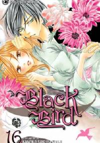 Black Bird, vol. 16 - Kanoko Sakurakouji