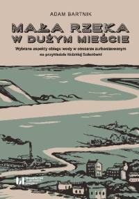 Mała rzeka w dużym mieście. Wybrane aspekty obiegu wody na obszarze zurbanizowanym na przykładzie łódzkiej Sokołówki - Adam Bartnik