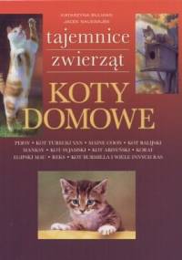 Koty domowe - Katarzyna Bulman, Jacek Nalewajek