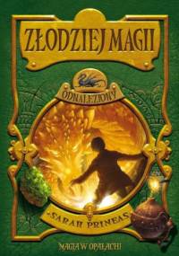 Odnaleziony - Sarah Prineas