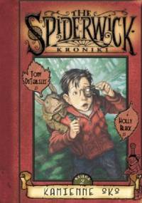 Kamienne oko - Tony DiTerlizzi, Holly Black