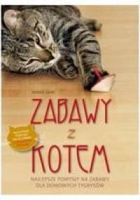 Zabawy z kotem. Najlepsze pomysły na zabawy dla domowych tygrysów - Denise Seidl