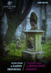 Historia zapisana na śląskich cmentarzach - Dawid Smolorz