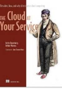 The Cloud at Your Service: The When, How, and Why of Enterprise and Computing - Jothy Rosenberg, Arthur Mateos