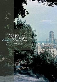 Widok Gdańska z Góry Biskupiej 1855–1970