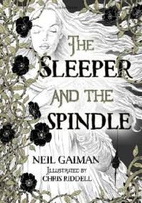 The Sleeper and the Spindle - Neil Gaiman