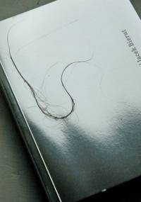 Pornofonia - Jacek Bierut