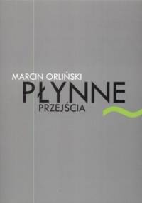 Płynne przejścia. Szkice o współczesnej poezji polskiej - Marcin Orliński