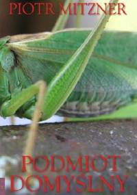 Podmiot domyślny - Piotr Mitzner