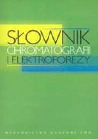 Słownik chromatografii i elektroforezy - Zygfryd Witkiewicz