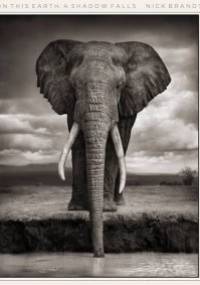 On This Earth - A Shadow Falls - Nick Brandt