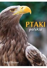 Ptaki polskie. Poznajemy zwierzęta - Rafał Wejner